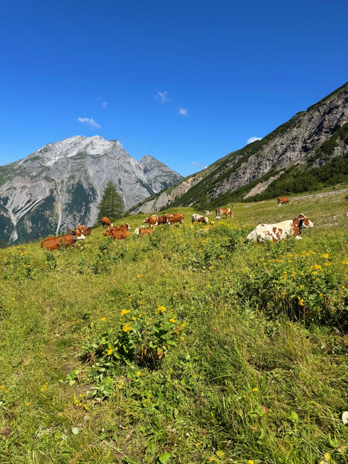 Binsalm - Hahnkampl - Nyugati-Lamsenjoch túra-11
