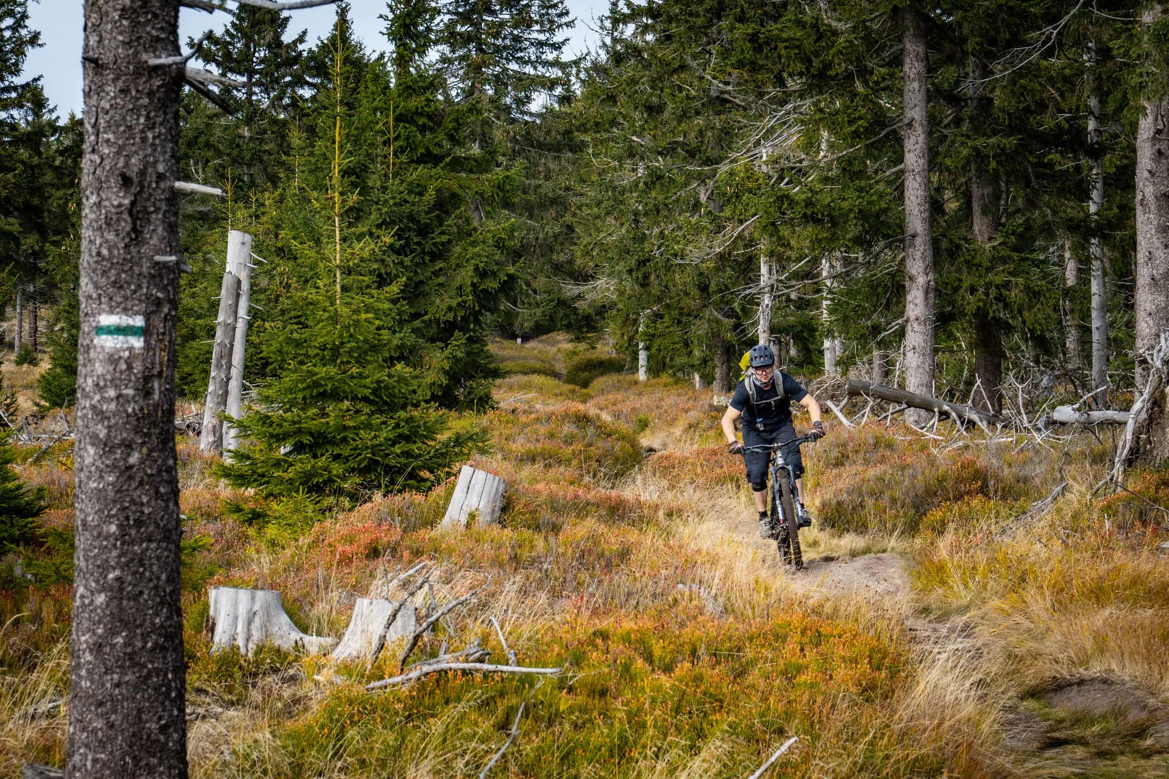 Technikás és látványos e-mtb enduro túra a lengyel-cseh határ mentén-4