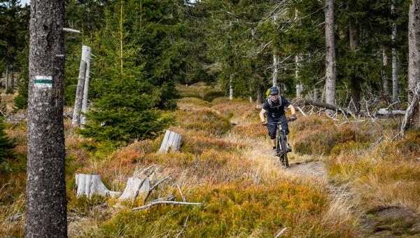 Technikás és látványos e-mtb enduro túra a lengyel-cseh határ mentén