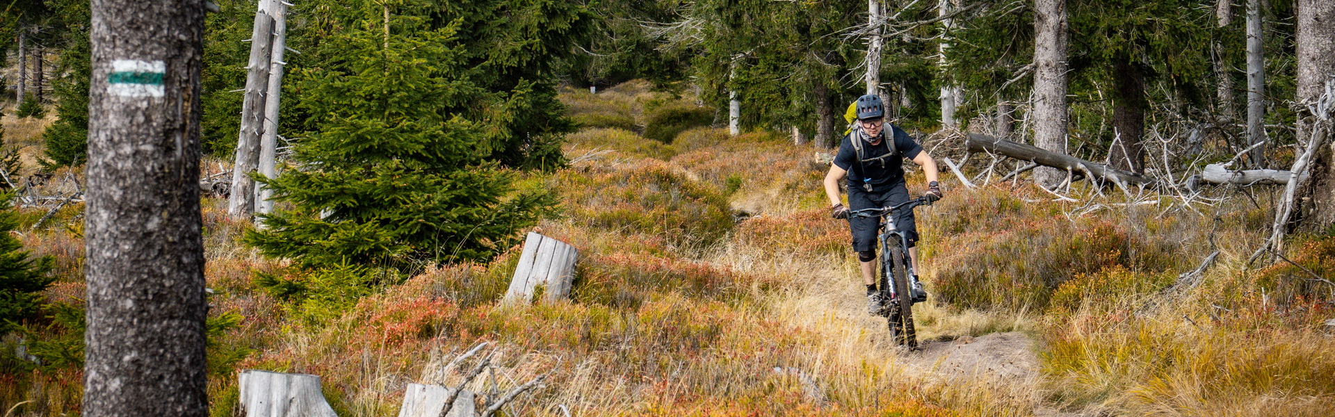 Technikás és látványos e-mtb enduro túra a lengyel-cseh határ mentén